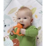 FISHER-PRICE, grickalica za zubiće - Slika 5