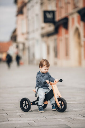 FREE 2 MOVE drveni tricikl bez pedala 2u1, Rider PLUS crni 42851