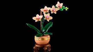 LEGO® BOTANICALS 10343 Mini orhideja - Slika 4